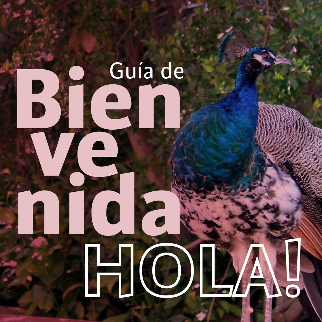 Hola. Gua de bienvenida de la UIB