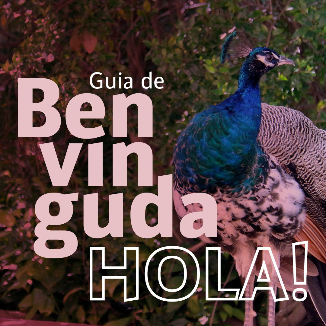 Hola. Guia de benvinguda de la UIB
