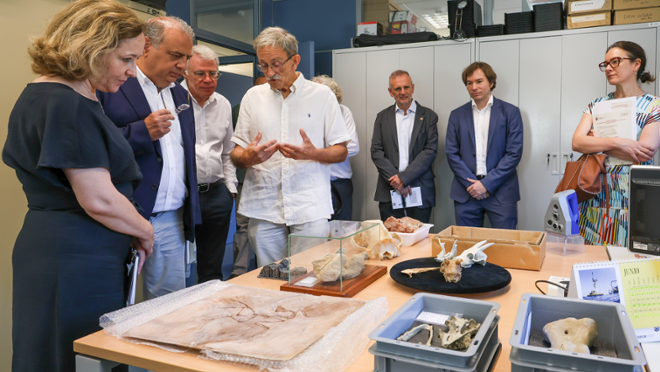 30 aniversari de l'Institut Mediterrani d'Estudis Avanats (IMEDEA, centre mixt del CSIC, i la UIB)